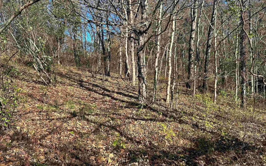Recreational Land & Farm for Sale in Elizabethtown, Illinois