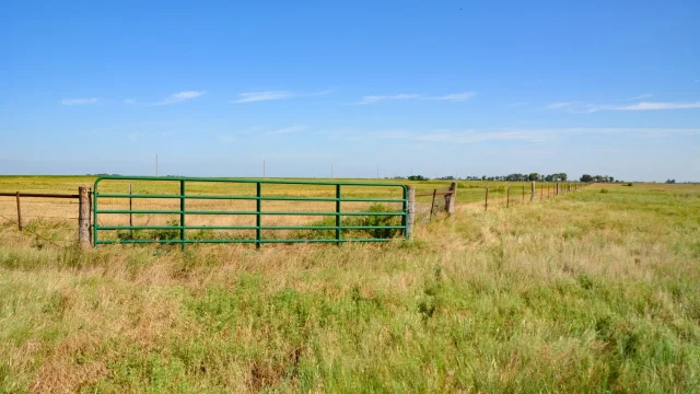 Recreational Land & Farm for Sale    NE 90th Ave Stafford, Kansas   67578